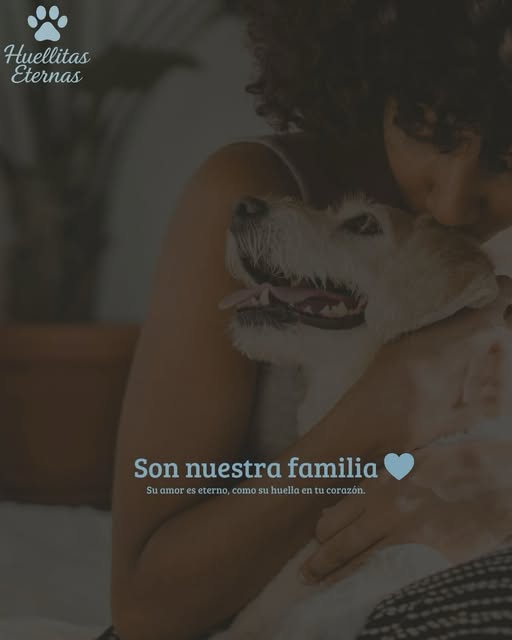 Urna de madera artesanal con flores conmemorativas y portarretrato con foto
